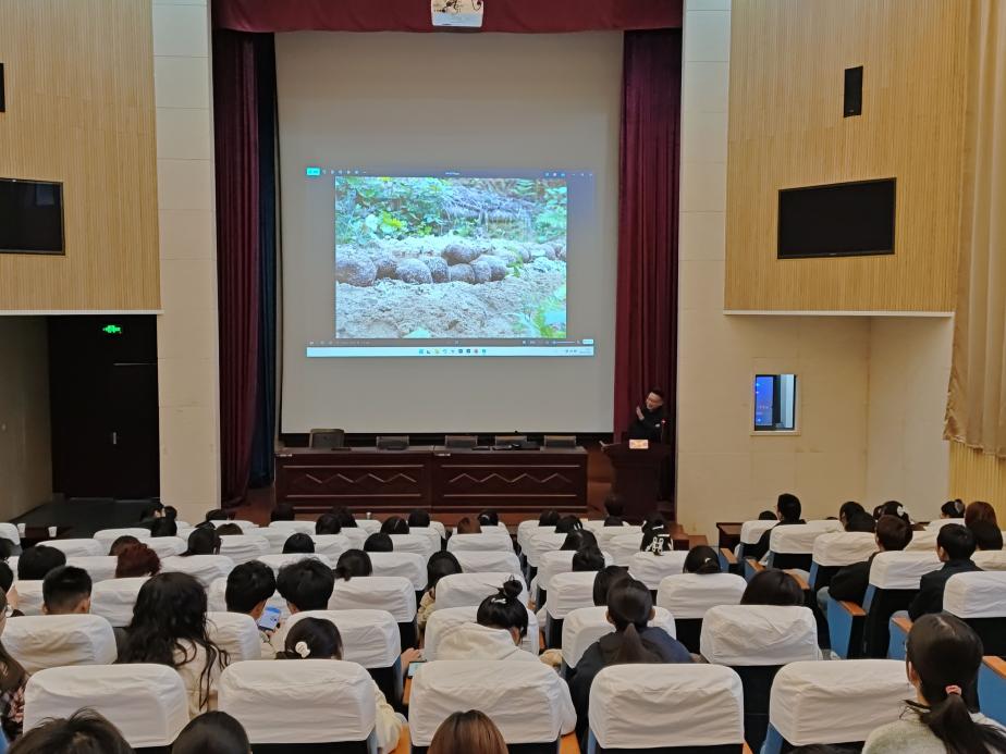 IMG_20251022_172123-3317894013789844371 IMG_20251022_172123-3317894013789844371